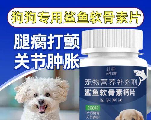 狗狗的零食选择指南（了解适合狗狗食用的健康零食种类及注意事项）