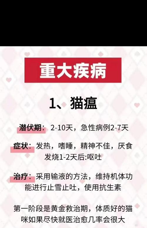 探索猫肺部疾病（从病因到治疗，了解猫肺部疾病的一切）