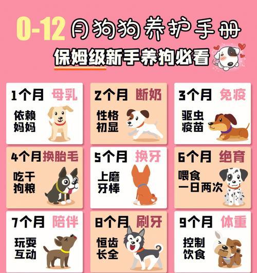 母犬生完后多久能洗澡？（洗澡时间的重要性及影响因素）