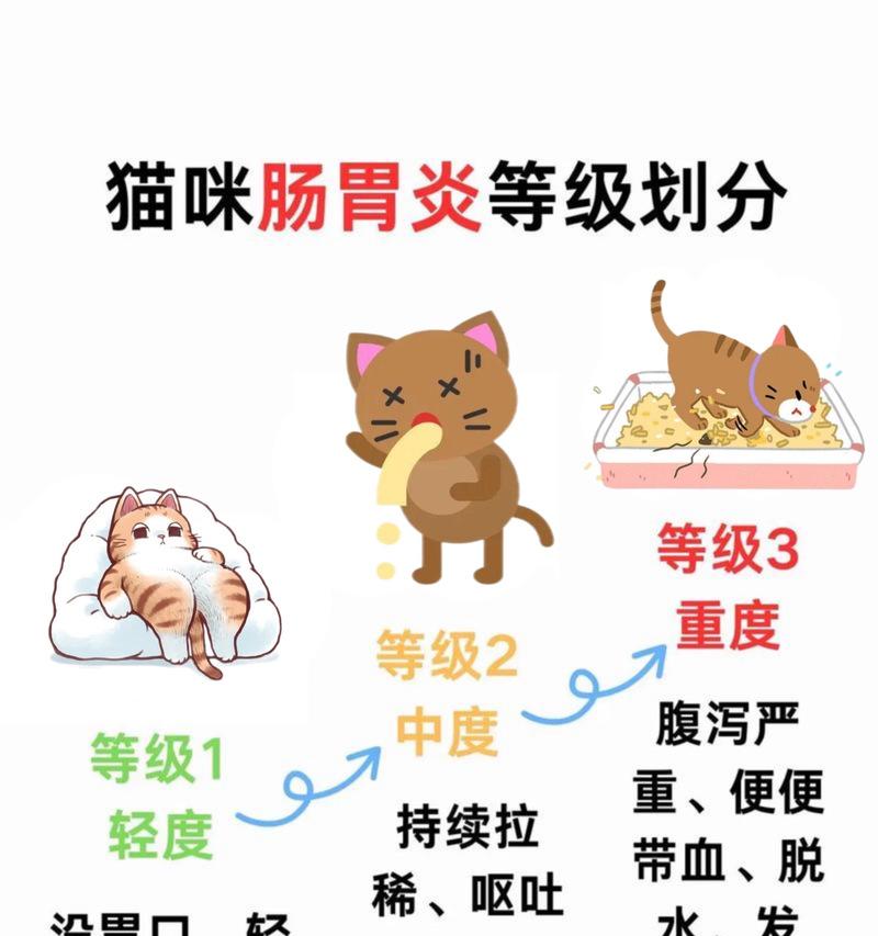 告别猫咪口水臭，拥抱清新呼吸（3招轻松解决，让猫咪变身芳香小天使）