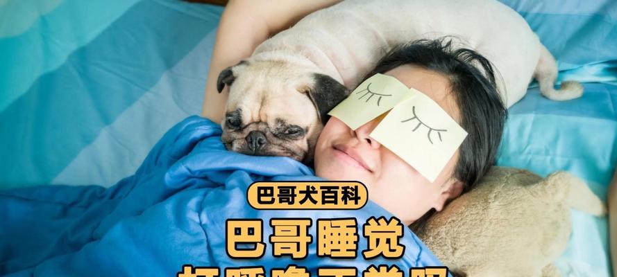 狗狗为什么需要那么长的睡眠时间？（探索狗狗睡眠需求的原因及对其健康的影响）