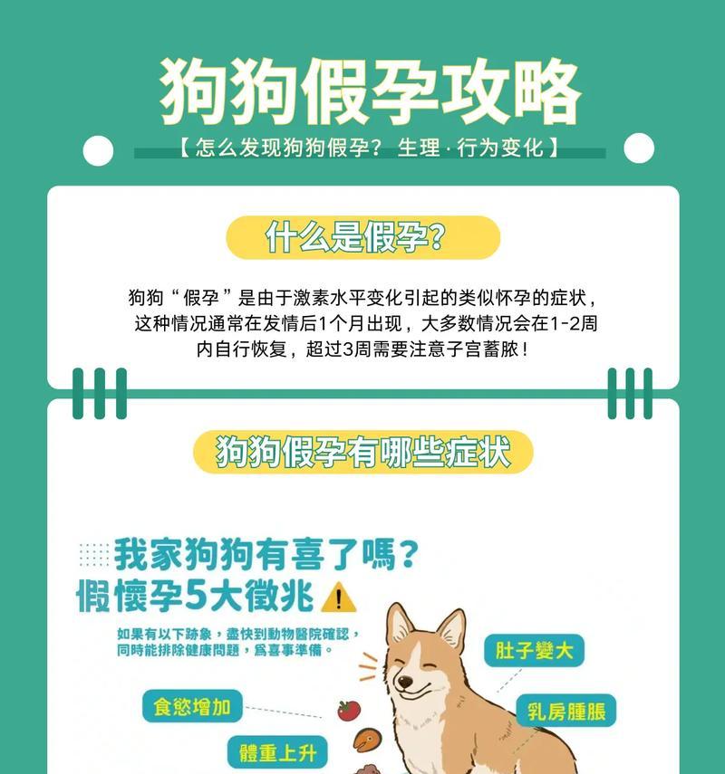 母狗怀孕需要多久？（探究母狗怀孕的时间周期与关键因素）
