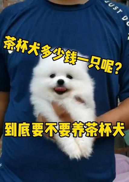 茶杯犬（以茶杯犬为例，探究小型犬种的起源和寿命）