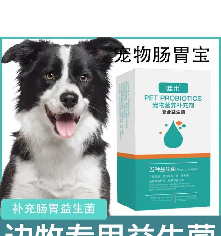 探秘狗狗益生菌（解读狗狗益生菌的功效与适用范围）