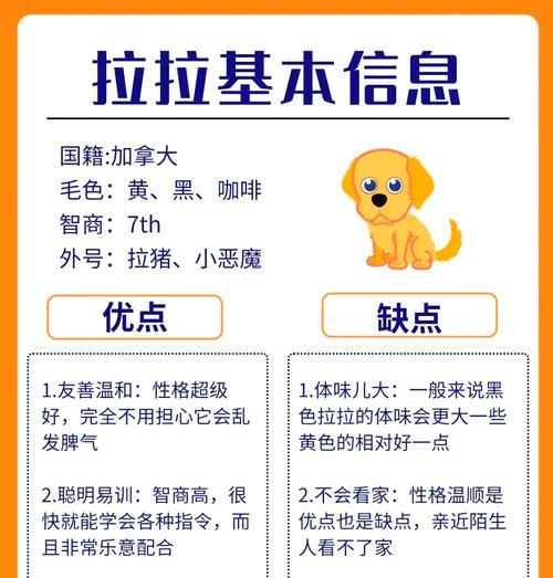 拉布拉多犬的健康状况解析（探索拉布拉多犬健康的七个关键方面）