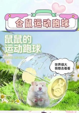 金丝熊的跑步速度到底有多快？（揭秘金丝熊的跑步能力及其关键因素）