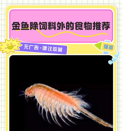金鱼的合理饲养量及喂食注意事项（金鱼一天需要吃多少饲料？喂食过量的危害大吗？）