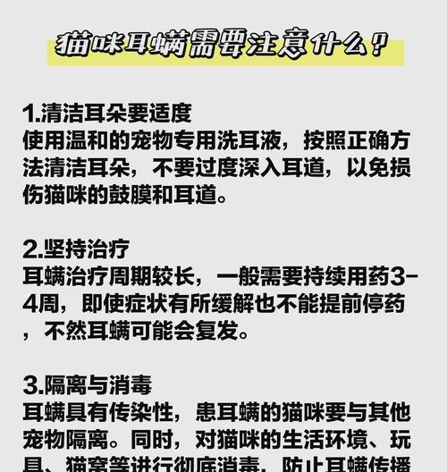 猫的耳螨如何进行定期清理？（耳螨清理的频率和方法）