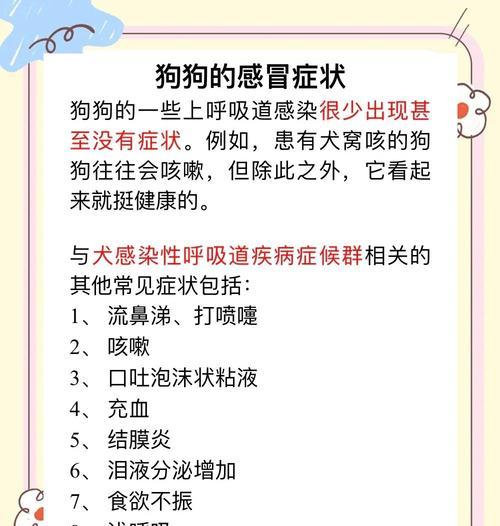 狗狗感冒要多久才能好？（探究狗狗感冒康复期的关键因素和治疗方法）