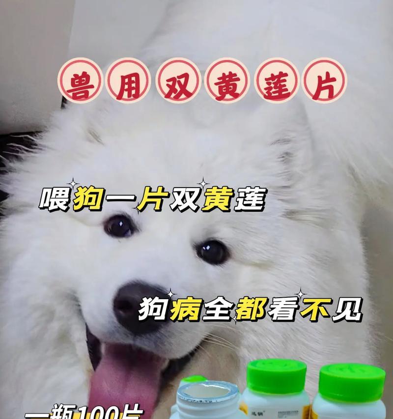 养这几种狗狗要小心开销（慎养为主，了解这些狗狗的费用）
