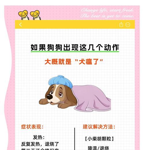 狗狗发烧了怎么办？（如何判断狗狗是否发烧）