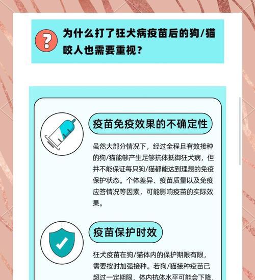 狗疫苗的有效期及（了解狗疫苗的保护时间，让宠物健康无忧）