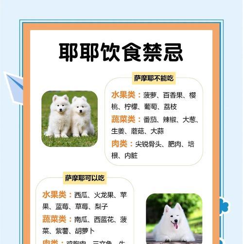 小萨摩何时可以吃幼犬狗粮？（了解小萨摩的生长阶段和饮食需求）