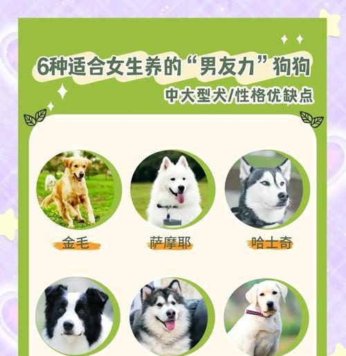 预算3000元养狗，这5种狗狗好养又不贵（小成本养狗指南，经济实惠的狗狗选择）