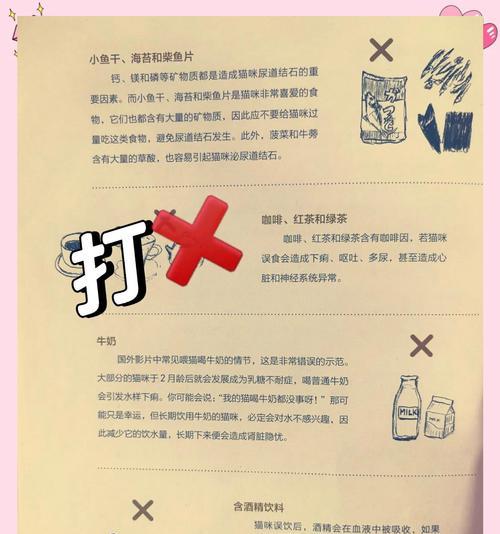 揭秘猫咪不吃食物的10个原因及其病因（深入探索不同阶段猫咪不吃食物的背后原因与可能性）
