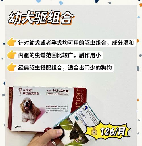 狗体外驱虫药的保质期是多久？（了解狗体外驱虫药保质期的重要性及其影响因素）