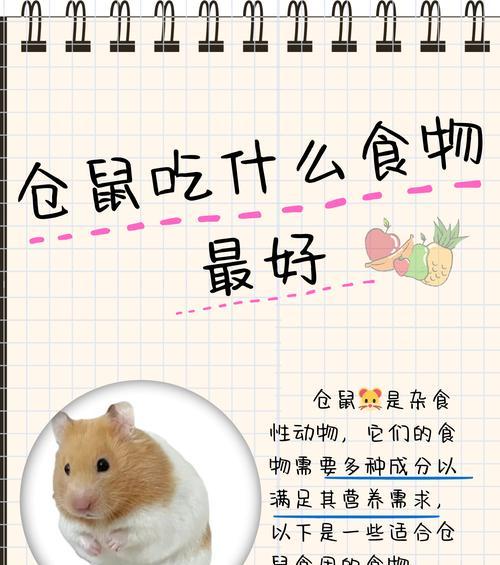 仓鼠的饮食喜好与禁忌（探索仓鼠的食物口味，了解如何合理饲养）
