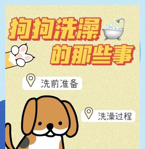 宠物狗洗澡的频率（为了宠物狗的健康，洗澡也有讲究！）