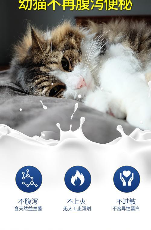 猫缺钙多久会好？（了解猫缺钙的症状和恢复所需时间）