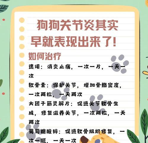 狗狗行动缓慢，小心关节炎！（如何判断狗狗是否患上关节炎？如何预防和治疗关节炎？）