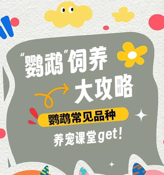 手养鸟与笼养鸟（探讨以手养鸟和笼养鸟的差异与影响）