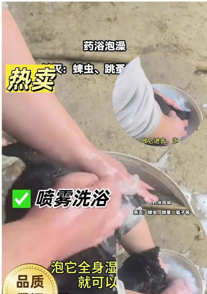 体内驱虫后多久可以洗澡？（洗澡前后的时间间隔与注意事项）