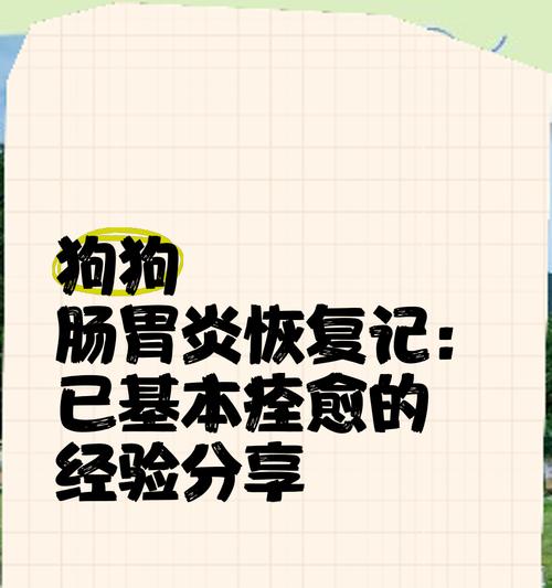 小狗肠炎（了解康复时间及注意事项，保护你的小狗健康）