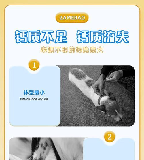 泰迪羊奶的保存时间和注意事项（掌握保存泰迪羊奶的关键，为宝宝提供健康营养）