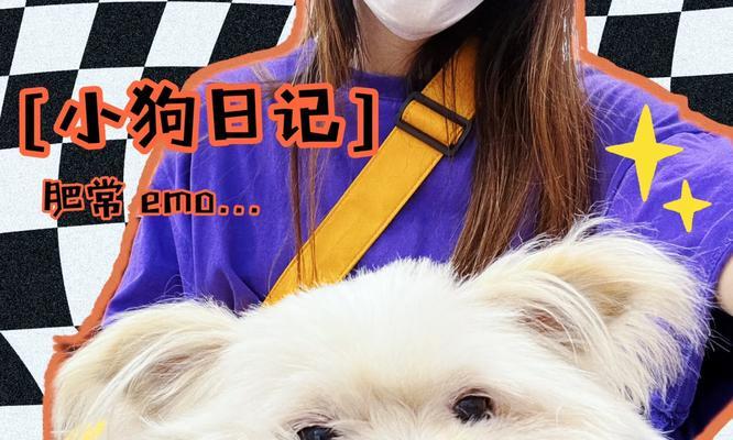 生完小狗多久可以绝育？（了解适当的绝育时机对宠物狗的健康至关重要）