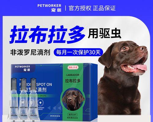拉布拉多幼犬的驱虫方法与注意事项（养狗人士必知，为宠物狗提供健康的生活环境）