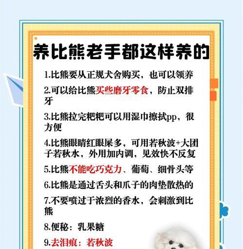 如何应对比熊毛发变黄，恢复洁白光泽（探索比熊毛发变黄的原因与有效的解决方法）