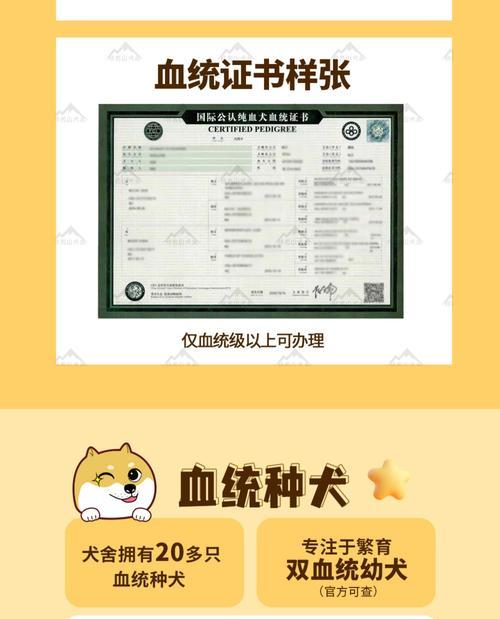 狗狗年龄计算方法及幼年期介绍（如何准确计算狗狗年龄、了解狗狗幼年期特点与需求）