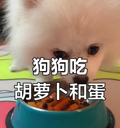 狗狗可以吃鸡蛋吗？（蛋白和蛋黄都可以吗？好处大揭秘！）