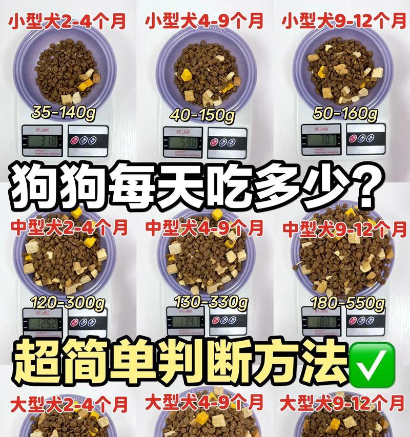 小狗狗何时可以开始吃粥？（探讨小狗狗的饮食转变时机）