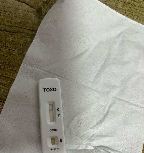 探究细小感染的早期检测时间（细小感染的检测时间与关键因素分析）