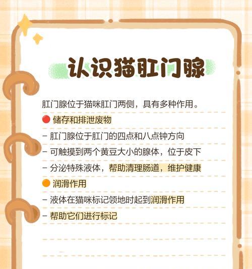 猫咪肛门排便频率及护理（探究猫咪肛门排便的时间间隔和正确的护理方法）