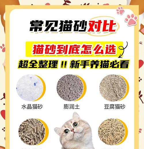 为什么猫天生会用猫砂却偏不用？（探索猫咪行为背后的奥秘）