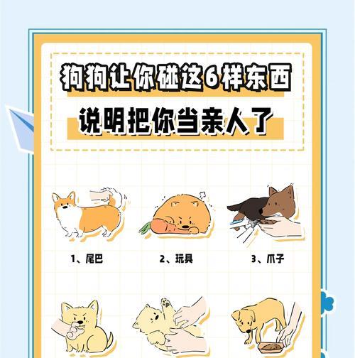 暴力对待狗狗的后果（以经常惩罚狗狗或者是打狗所带来的5个不良结果）