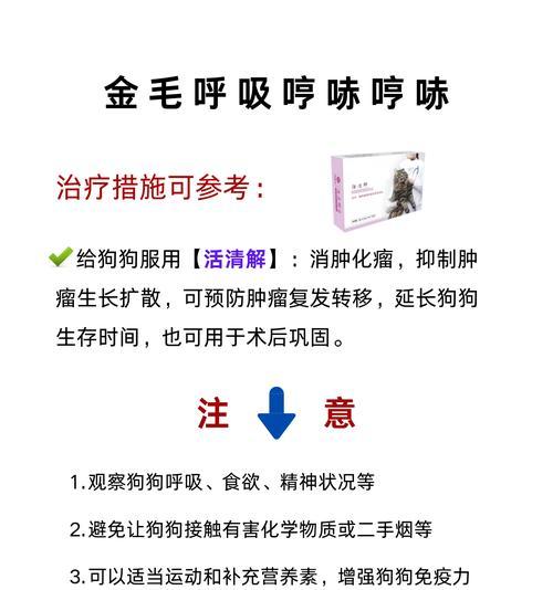 探究狗的免疫抑制性疾病（了解免疫抑制性疾病对狗的影响及预防措施）