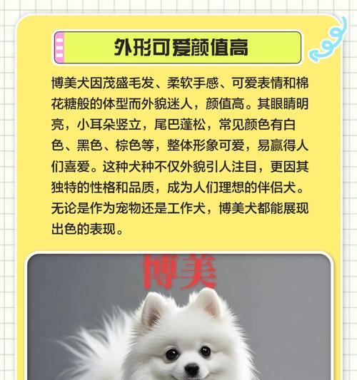 博美交配周期及相关注意事项（探究博美交配周期和正确的繁殖方法，让犬主了解并掌握关键知识）
