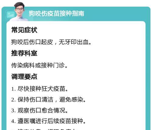 狗狗被咬后多久能恢复？——了解伤口愈合时间的重要性