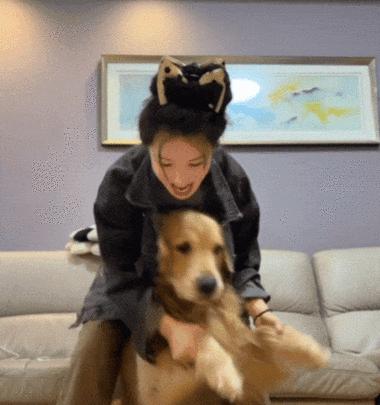 狗狗的最爱（探索狗狗对主人陪伴玩耍的依赖和喜爱）