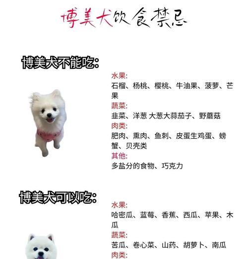 博美宠物狗的定型时间及技巧（掌握博美定型的关键步骤，让你的宠物更加迷人可爱）