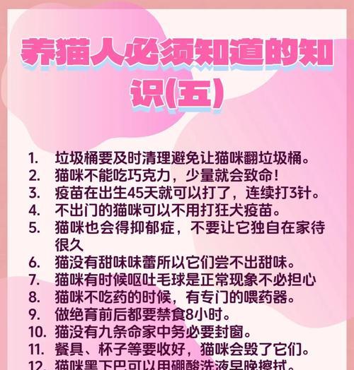 如何关心猫咪的身心健康？（细节关怀，了解猫咪的健康状况）