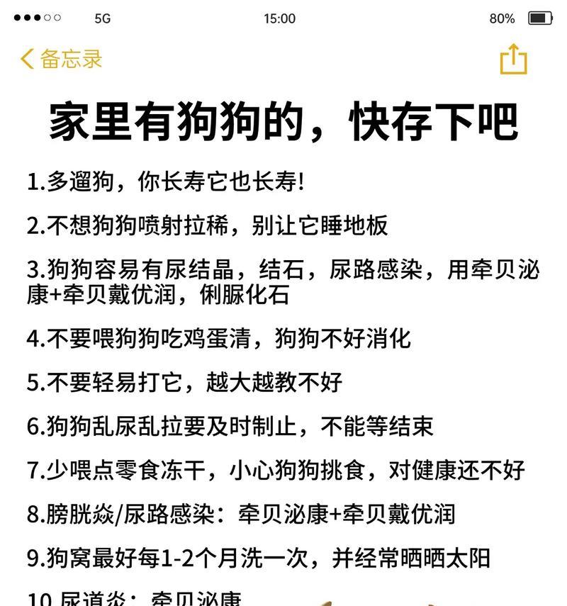 狗膀胱结石（了解狗膀胱结石的常见症状以及预防和治疗方法）