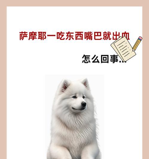 萨摩耶的上厕所频率及注意事项（了解萨摩耶的厕所习惯，保持宠物健康）