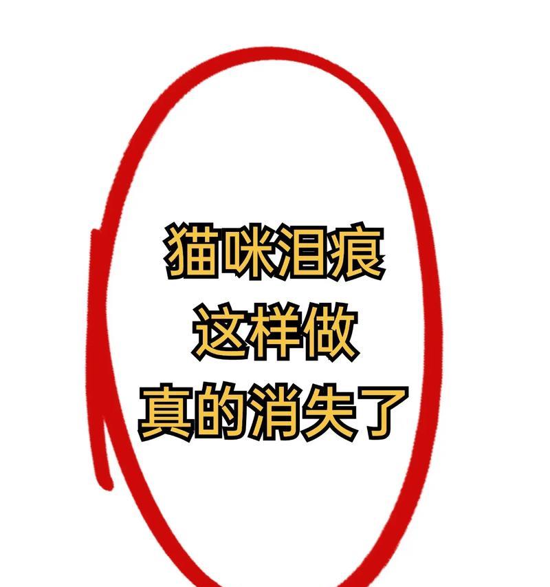 如何有效去除猫咪泪痕？（快速解决猫咪泪痕问题，重拾清澈明亮的眼睛！）