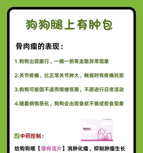 狗狗摔了腿，需要多久才能康复？