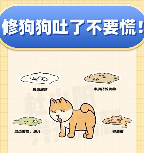 狗狗呕吐的疾病一览（引起狗狗呕吐的常见疾病及其症状）