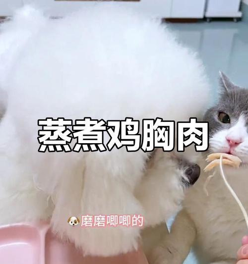 如何正确煮鸡胸肉给小狗吃？（掌握适宜的煮制时间，让你的小狗吃得健康）